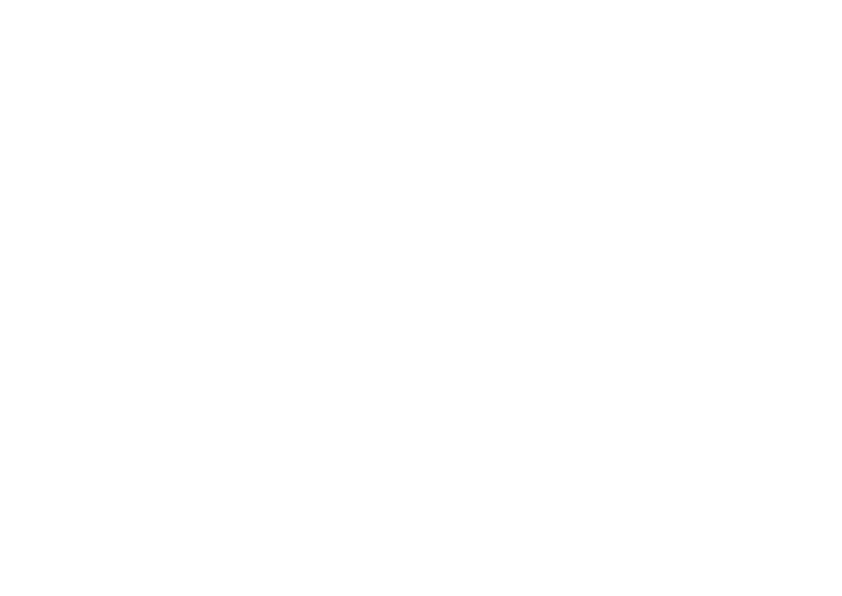 SX TECHNOLOGY